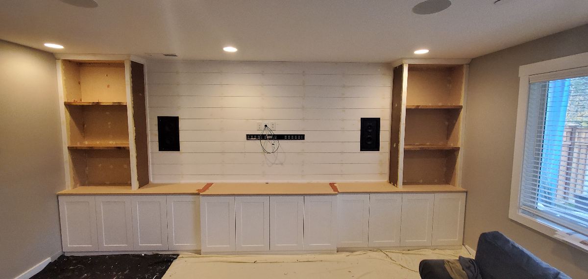 Media Wall & Built-Ins before